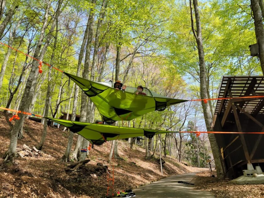 ルブの森★　3点！！ あつ森】島の評判を星3まで上げる方法 解説/まとめ【あつまれどうぶつ