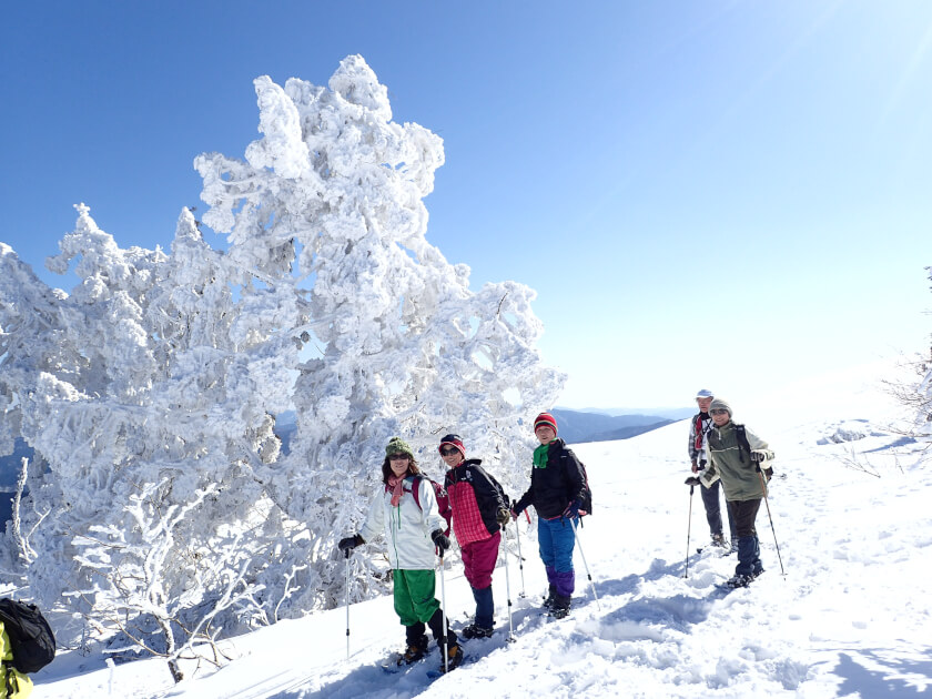 鳥取・大山 / 氷ノ山 スノーシューツアー体験・予約《前々日予約OK 