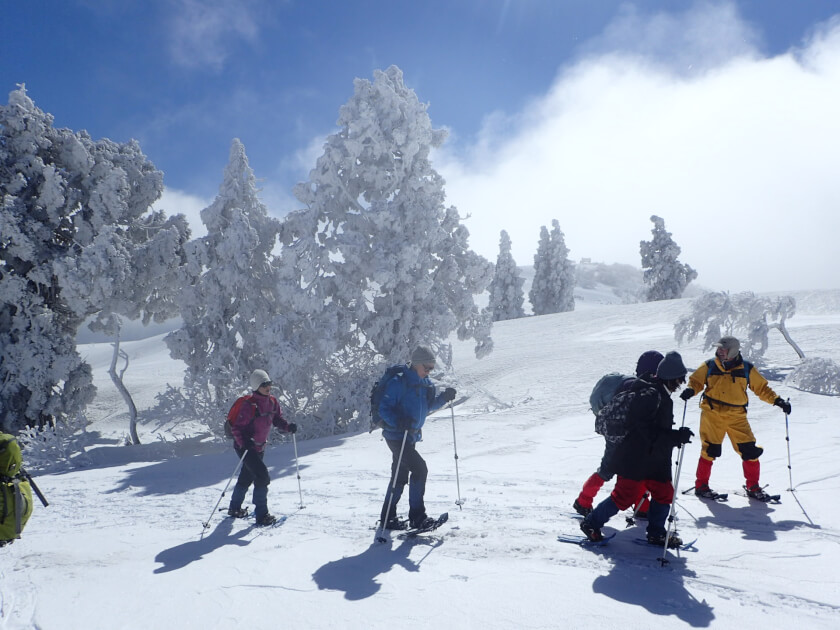 鳥取・大山 / 氷ノ山 スノーシューツアー体験・予約《前々日予約OK 