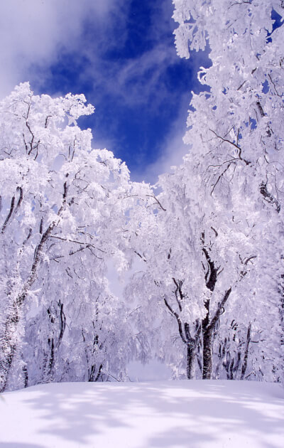 日本の万年雪: 月山・鳥海山の雪氷現象1971~1998に関して | 土屋